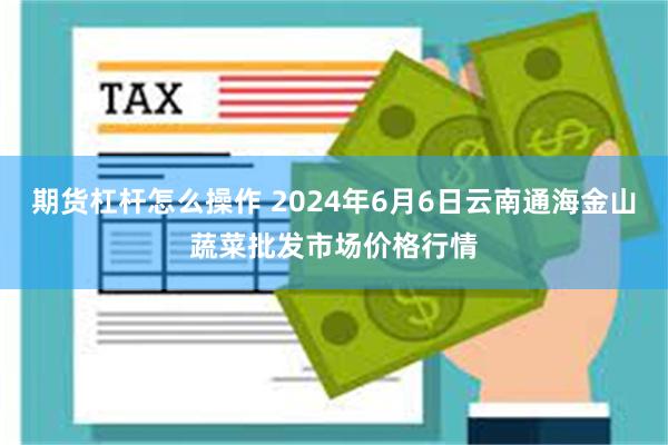 期货杠杆怎么操作 2024年6月6日云南通海金山蔬菜批发市场价格行情