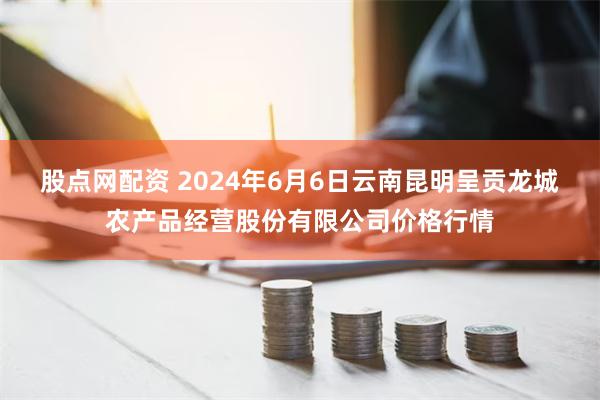 股点网配资 2024年6月6日云南昆明呈贡龙城农产品经营股份有限公司价格行情