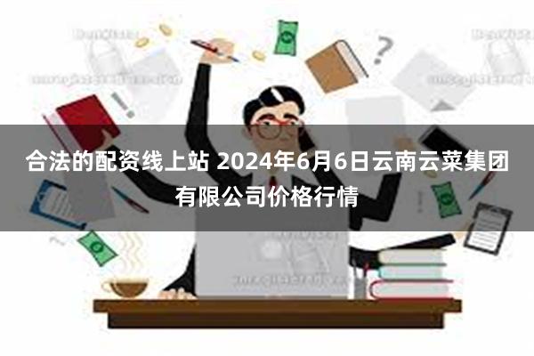 合法的配资线上站 2024年6月6日云南云菜集团有限公司价格行情