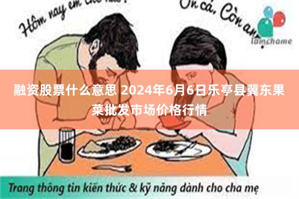 融资股票什么意思 2024年6月6日乐亭县冀东果菜批发市场价格行情