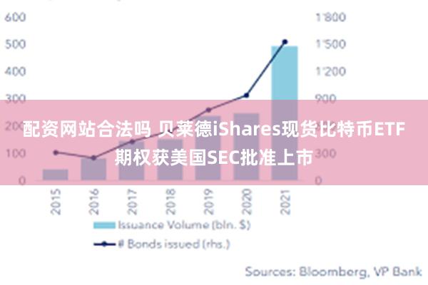 配资网站合法吗 贝莱德iShares现货比特币ETF期权获美国SEC批准上市