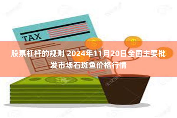 股票杠杆的规则 2024年11月20日全国主要批发市场石斑鱼价格行情