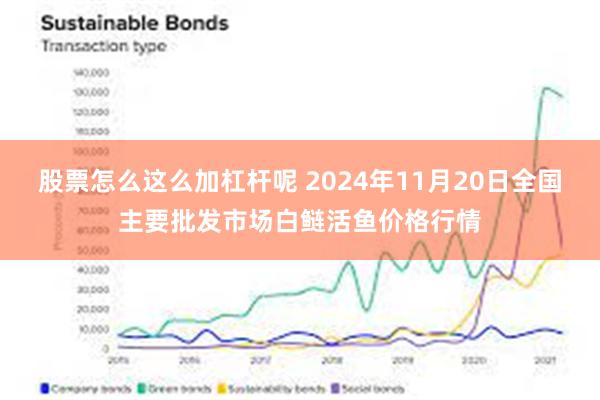 股票怎么这么加杠杆呢 2024年11月20日全国主要批发市场白鲢活鱼价格行情