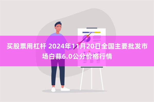 买股票用杠杆 2024年11月20日全国主要批发市场白蒜6.0公分价格行情