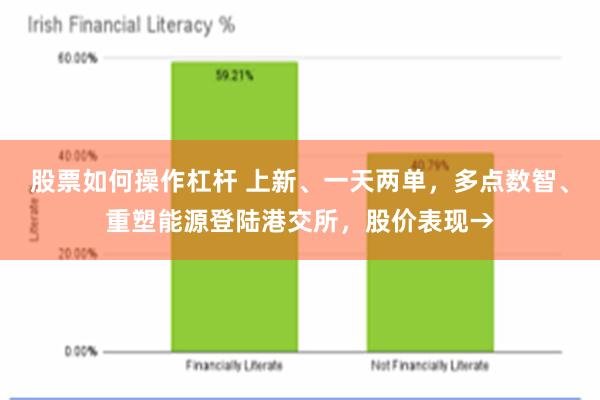 股票如何操作杠杆 上新、一天两单，多点数智、重塑能源登陆港交所，股价表现→