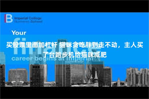 买股票里面加杠杆 猫咪贪吃胖到走不动，主人买了台跑步机给猫咪减肥