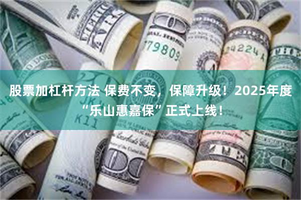 股票加杠杆方法 保费不变，保障升级！2025年度“乐山惠嘉保”正式上线！