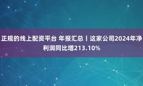 正规的线上配资平台 年报汇总丨这家公司2024年净利润同比增213.10%